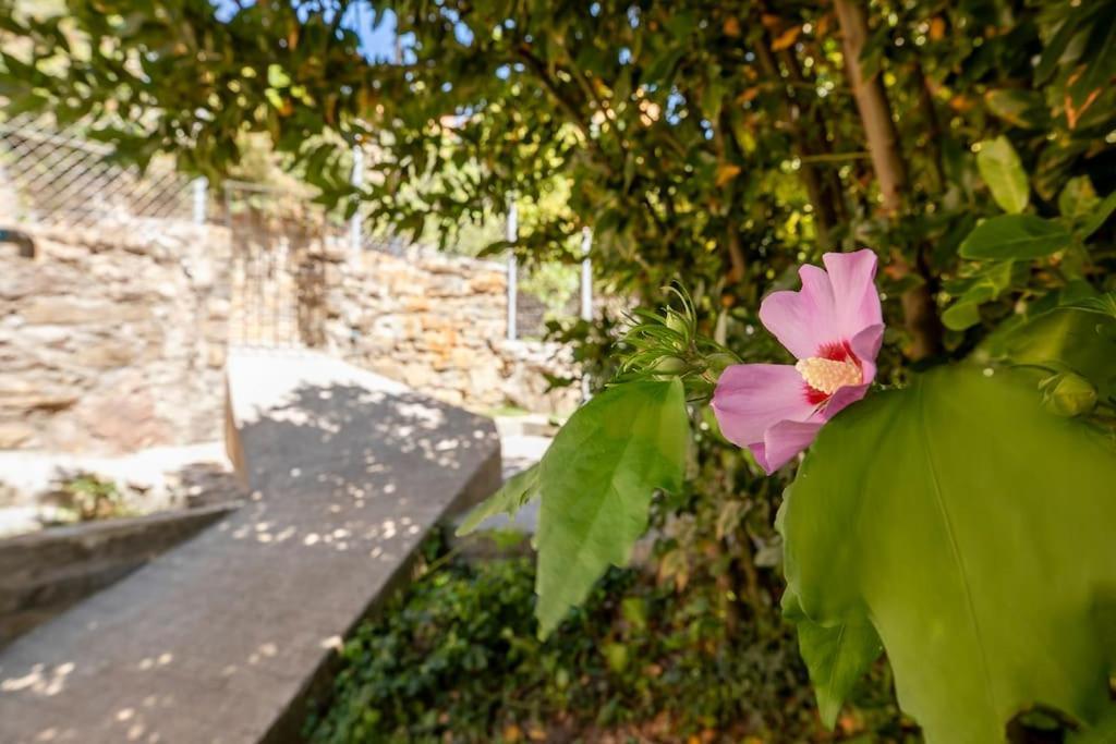 Casa Feli - Apartamento Con Jardin Privado En Los Pirineos Castiello de Jaca Exterior foto